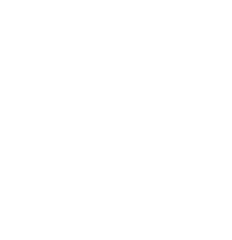 Spring Street Social