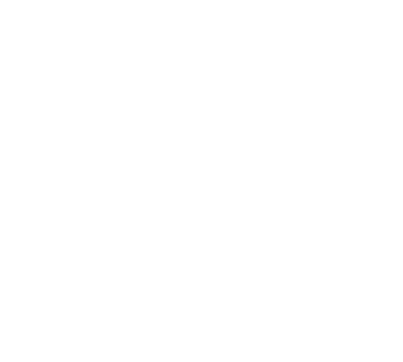 Spring Street Social